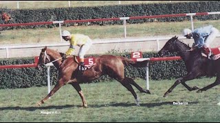 90Ların Sonları Ve Unutulmaz Kısraklar