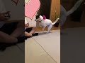83代目居候譲渡決定から5年