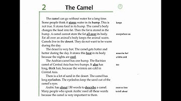 Facts and Figures - Unit 1: Animals -  Lesson 2:  The Camel