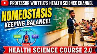 Homeostasis Keeping Balance