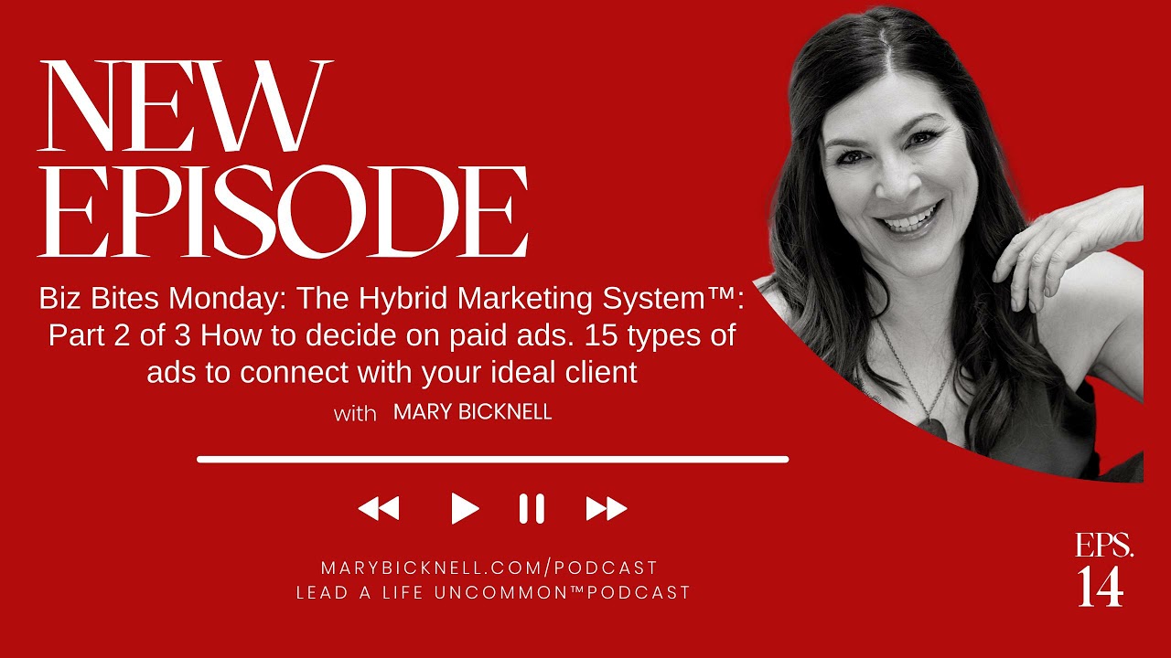 14. Biz Bites Monday: The Hybrid Marketing System Part 2 of 3: How to decide on paid ads 15...