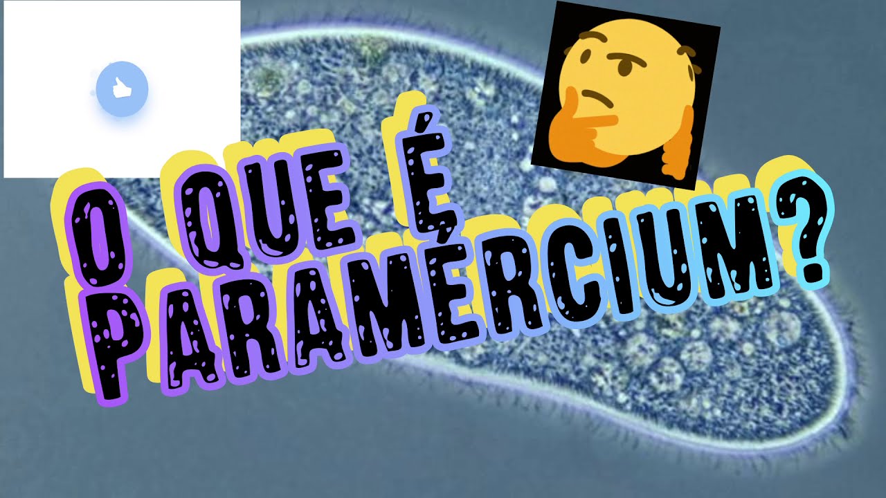 O que é PARAMÉRCIUM?