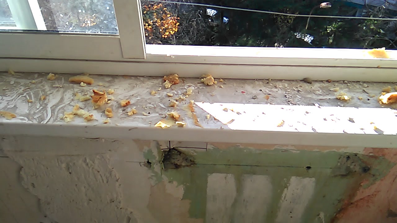 Демонтаж пластиковых окон. Как правильно демонтировать окно. - YouTube