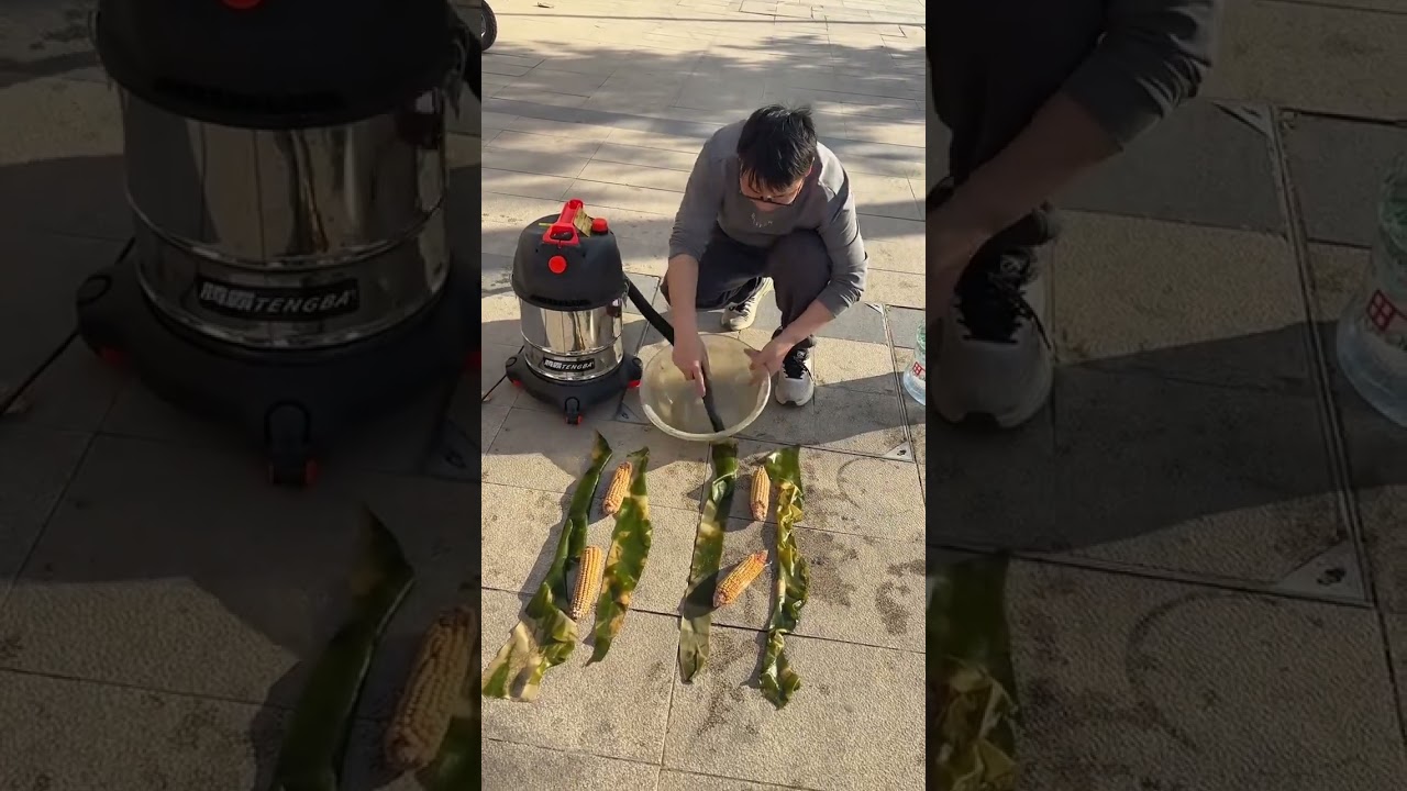 Yangzi Vacuum Cleaner Wet & Dry Blowing Dual-Use Vacuum Cleaner