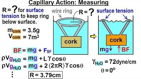 Physics - Ch 33A Test Your Knowledge: Fluid Statics (37 of 42) Capillary Action: Measuring