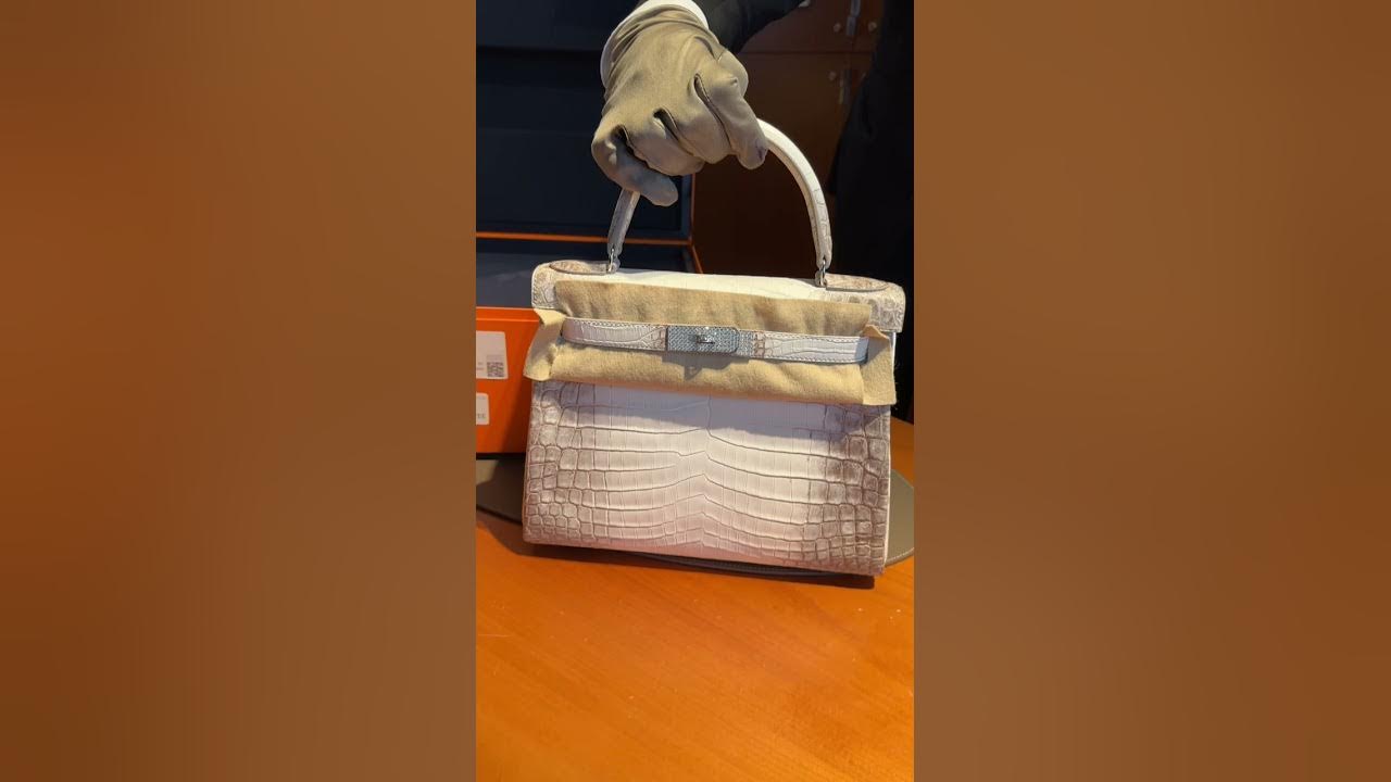 Hermes Birkin 25 Himalayan RARE BAG Unboxing 