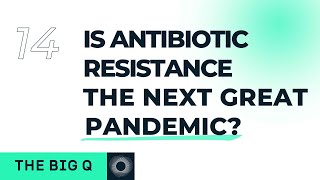 The BIG Q vol XIV: Is antibiotic resistance the next great pandemic? | ARQUIMEA