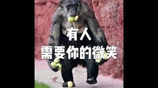 201803 有人需要你的微笑23799