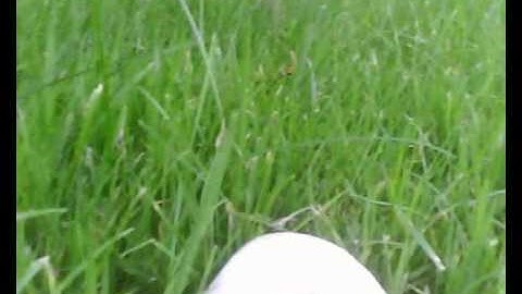 RC,Dynam Hawksky,crash at dusk