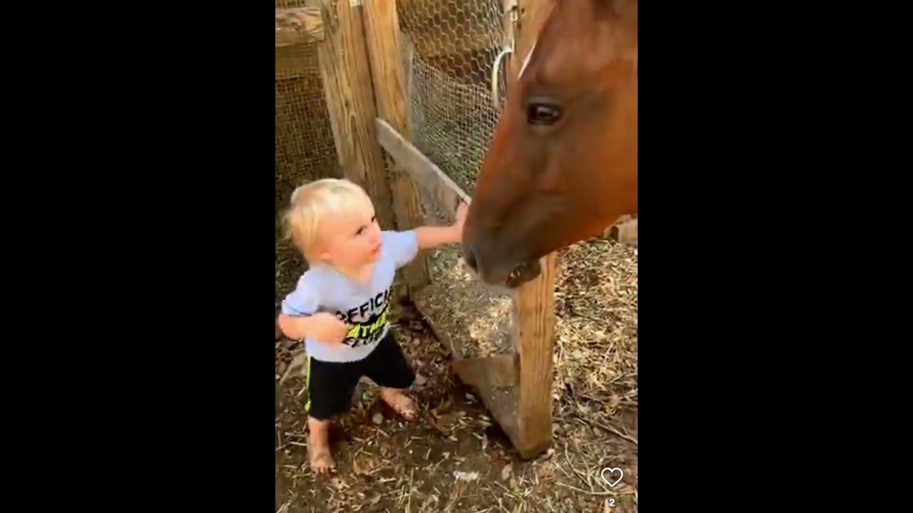 Farm Life Mornings | Watering the Ducks and Pigs with My Little Helper