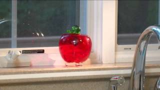 Plow Hearth Handmade Crackle Glass Apple Fruit Fly Trap with Carolyn Gracie