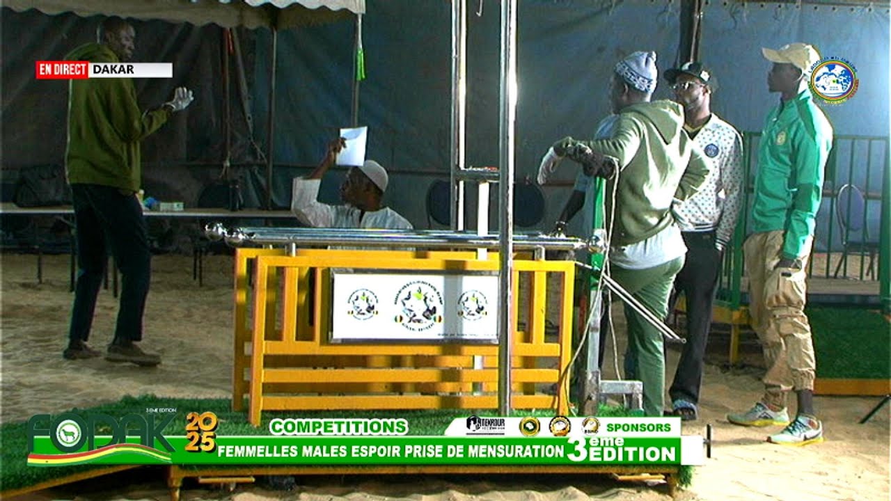 COMPETITIONS FEMELLES MALES ESPOIRE PRISE DE MENSURATION  FOIRE FODAK 2025 3eme EDITION