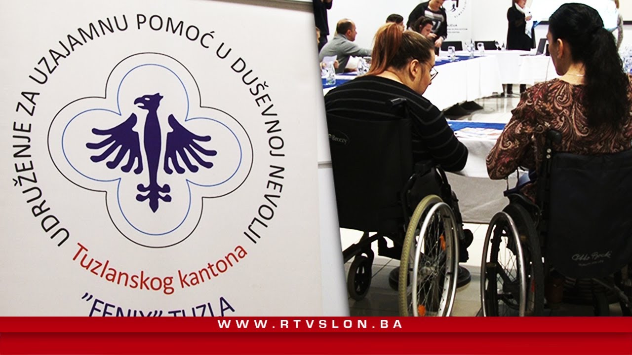Invaliditet Psihosocijalni invaliditet: Invaliditet koji mora postati vidljiv - 18. ...