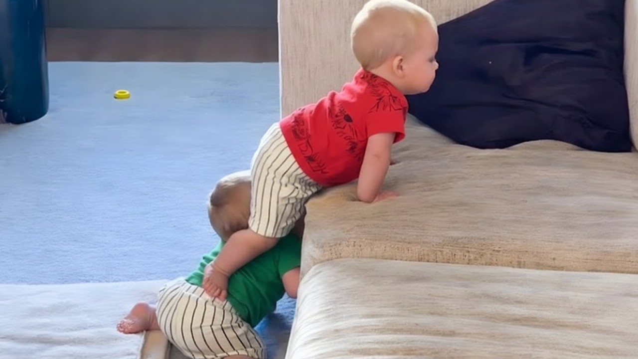 Baby Giggles Videos Will Make You Laugh 2026 🤣 Try Not To Laugh Challenge!