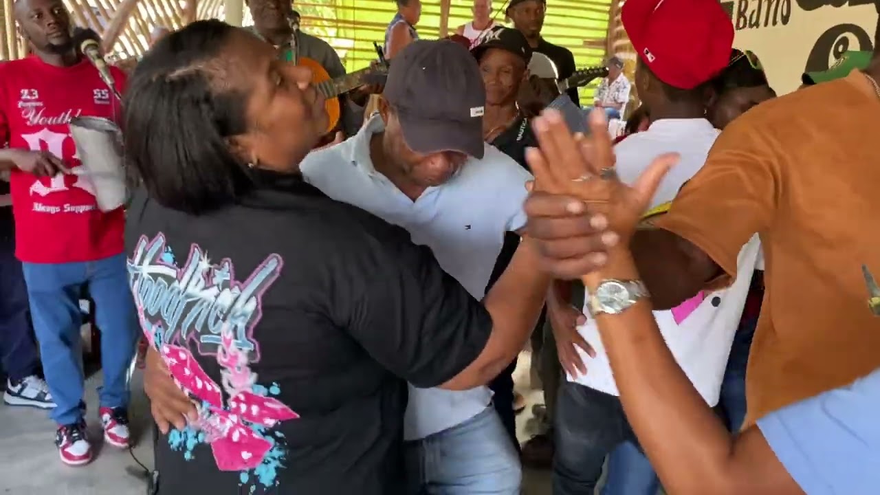 El gavilán mayor chinche bello 