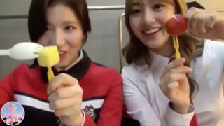 (TWICE) PPAP Pen Pineapple Apple Pen | Sana & Jihyo