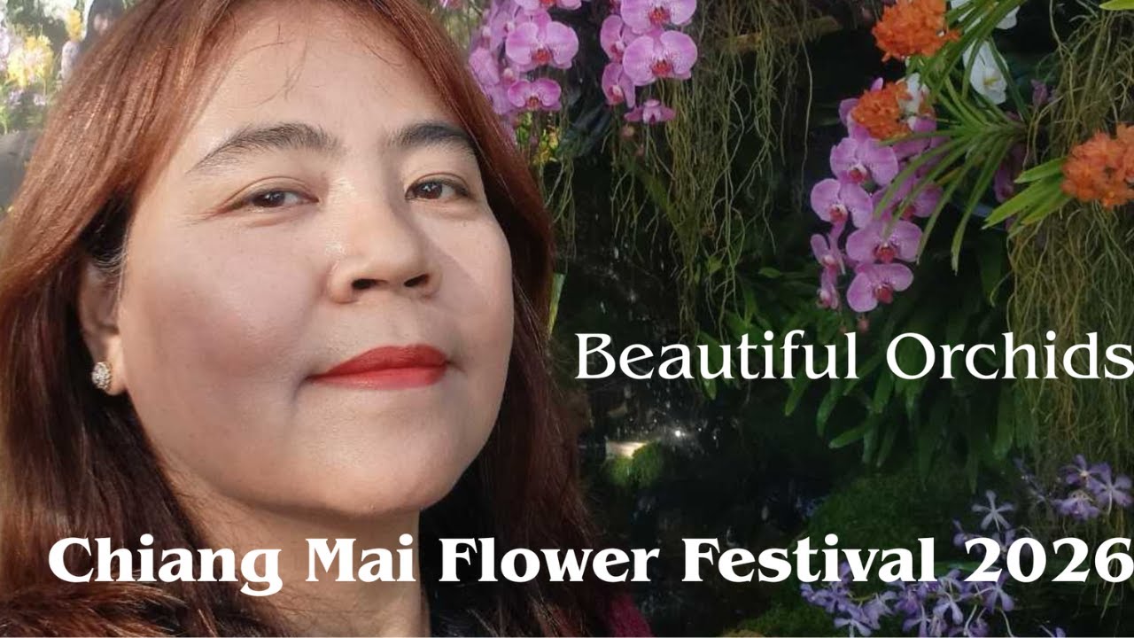 Beautiful Orchids Show In Chiang Mai Flower Festival 2026, Thailand