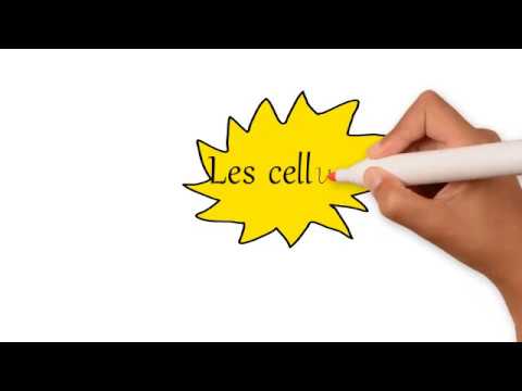 Vidéo: Qu'est-ce que la cellule en anatomie et physiologie?