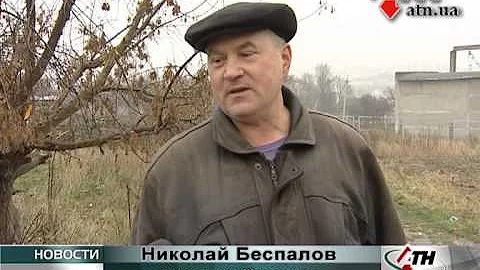 04.11.13 - Лебедь с раненым сердцем отказывается лететь в теплые края