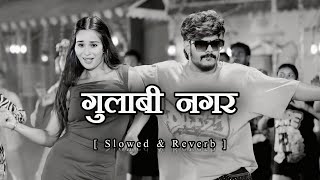 गुलाबी नगर | #Raushan Rohi | ( Slowed & Reverb ) | Gulabi Nagar | #Maghisong #Lofimusic New