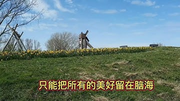 如果爱还在，今年这首歌火了百听不厌