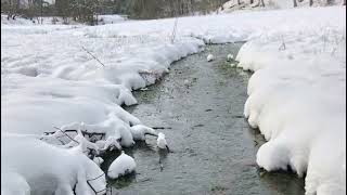 Winter Op Hoeve Springendal