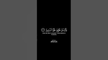 ألم تر كيف فعل ربك بأصحاب الفيل شاشة سوداء | كرومات قرآن كريم بصوت #ماهر_المعيقلي | #سورة_الفيل