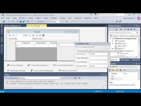 Visual Studio Database Integration