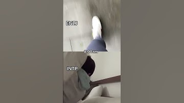INTP and ENTJ 💪💤 #booapp #personalitytypes #16personalities #entj #intp