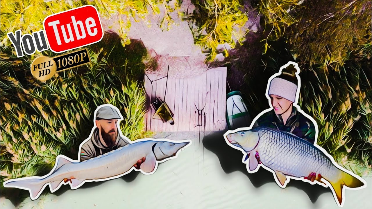 Szezonzáró bojlizás a Fish Arénán