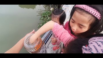 Tý Hí thả cá chép vàng tiễn Ông Công Ông Táo về trời