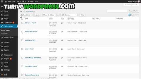 How to Use Focus Areas in to Thrive Themes!