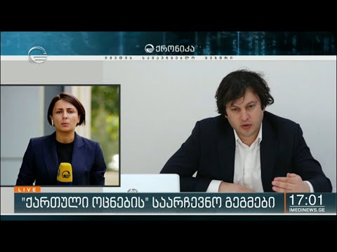 \"ქართული ოცნების\" საარჩევნო გეგმები