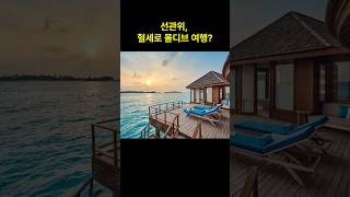 선관위, 혈세로 몰디브 여행? #한국정치 #선관위 #혈세 #몰디브 #국민의힘