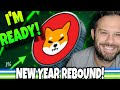 Shiba Inu Coin | Technical Analysts Say This Is When SHIB Will Rebound!