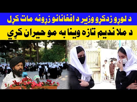 د لوړو زدکړو وزير د افغانانو زړونه مات کړل