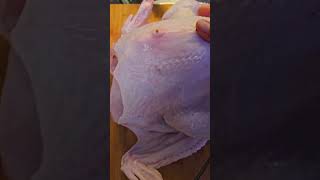 I never expected this Christmas turkey to be so big