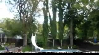 Micro Butterfly Flying Around the Pool HQ