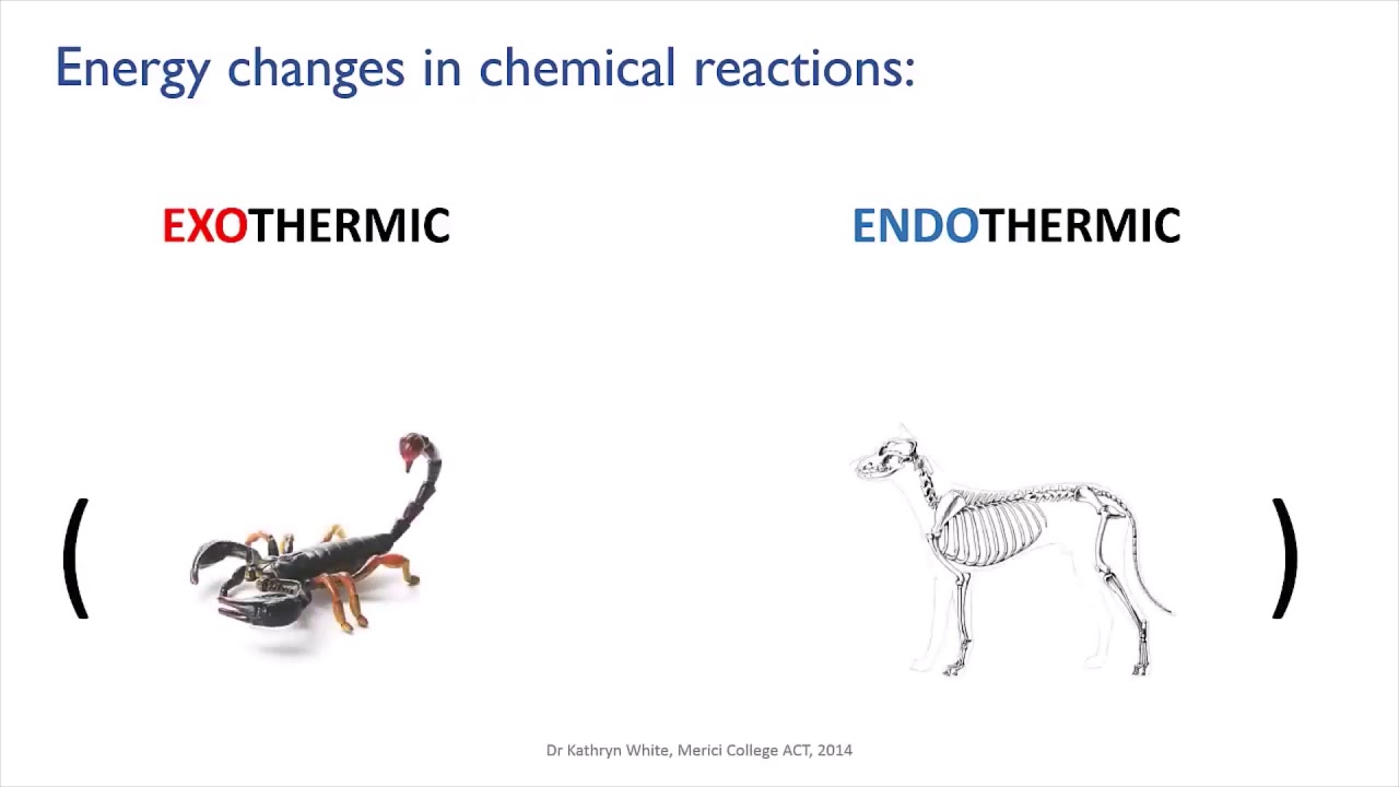 Summary of Endo and Exothermic reactions Reactions meriSTEM YouTube