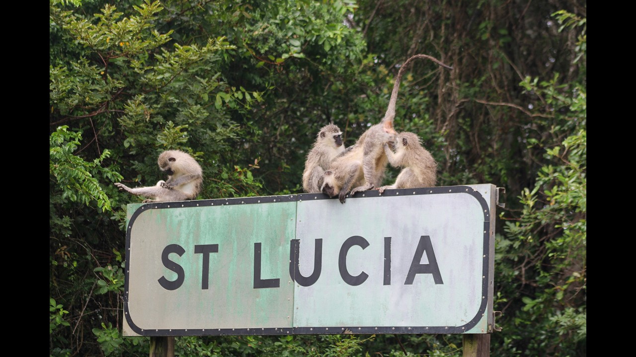 Cape Vidal Game Reserve Camping Part 1