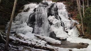 Lower Higgins Creek Falls