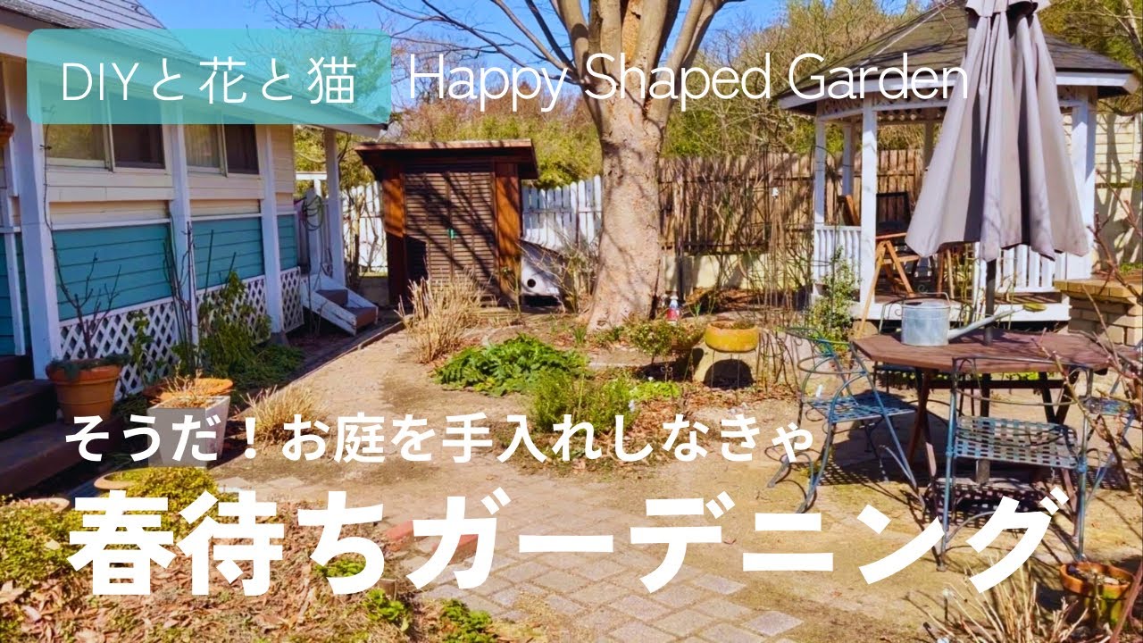 そうだ、お庭を手入れしなきゃ。春待ちガーデニング《園芸・冬の庭仕事・春先のお庭のお手入れ・古葉切り・鉢植えのお花の手入れ》ビオラ・ペチュニア・ネメシア・イワダレソウ・オリーブほか