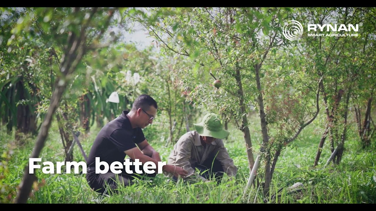 Smarter Farming Starts with Data | AI-Driven Insect Monitoring