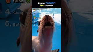 Ranking FUNNIEST SEA LION Core Moments!! 🦭😂