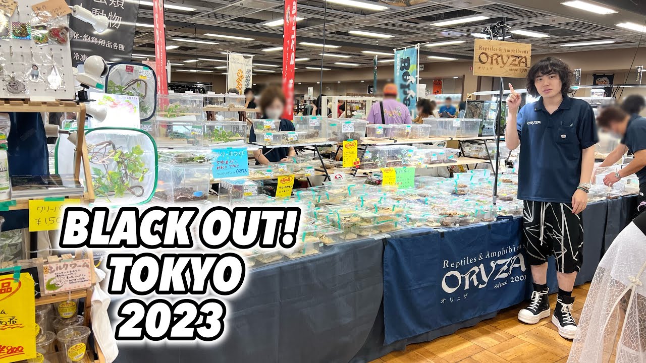 同会場同時開催！大盛況生き物イベントのお迎え紹介！【ブラックアウト東京&とんぶり市】