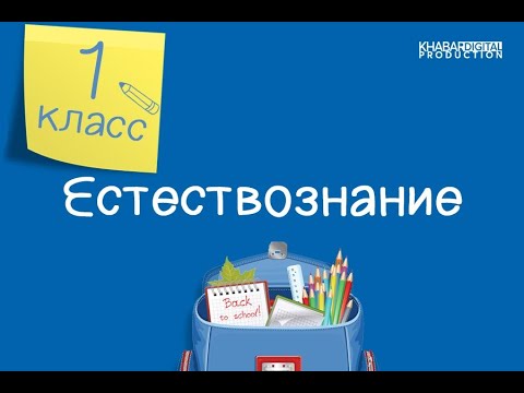 Естествознание. 1 класс. Животные - живые организмы. Какие бывают животные /16.10.2020/