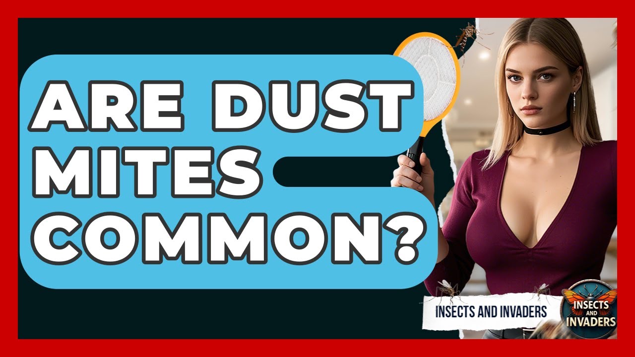 Are Dust Mites Common? - Insects and Invaders