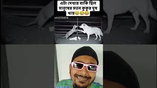 Hilarious Moment Dog Taking Bribe Like A Human