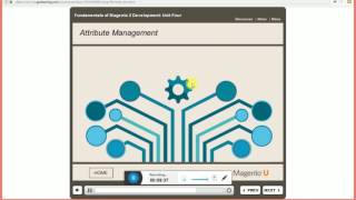 Fundamentals of Magento 2 Development v2 1   Unit 4 Databases & EAV Part   2