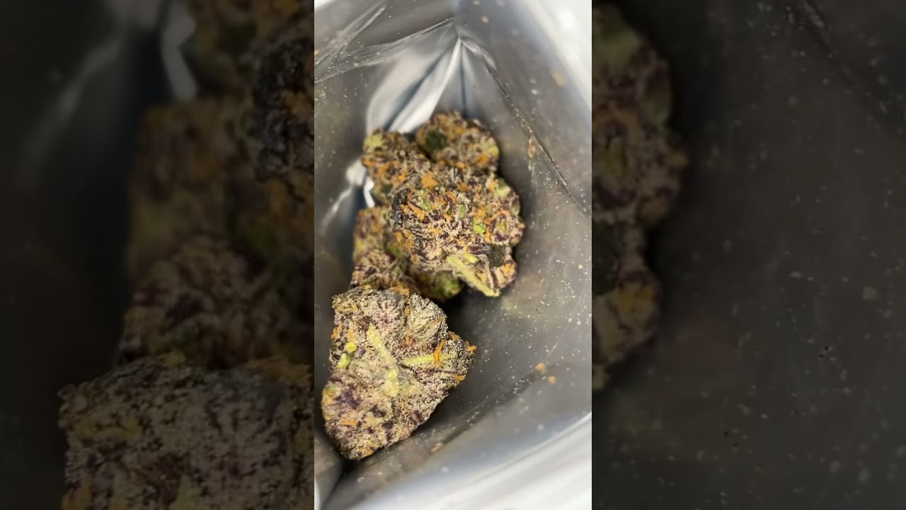 Bompton Berries  • Strain Review 